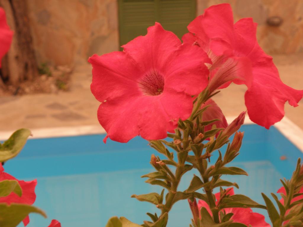 Ampoulos Rooms & Apartments Kedro Esterno foto